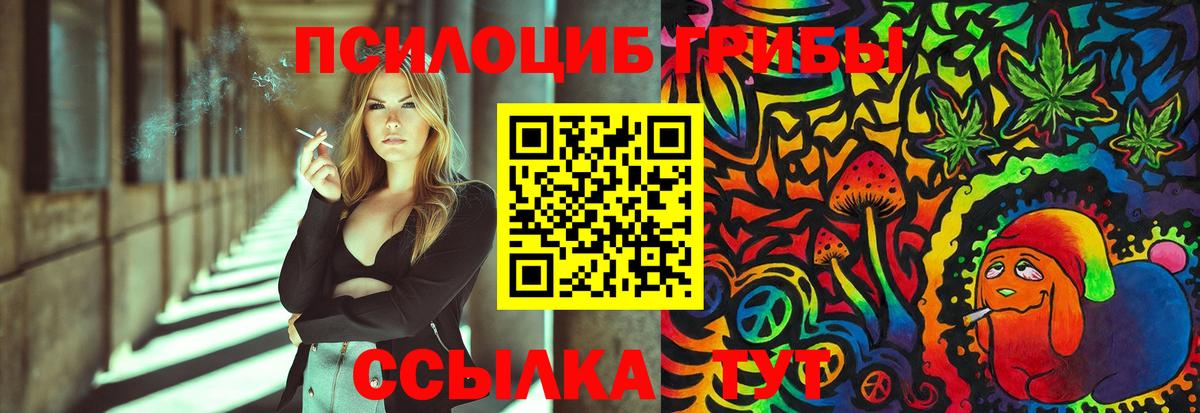 Галлюциногенные грибы Psilocybe Арзамас