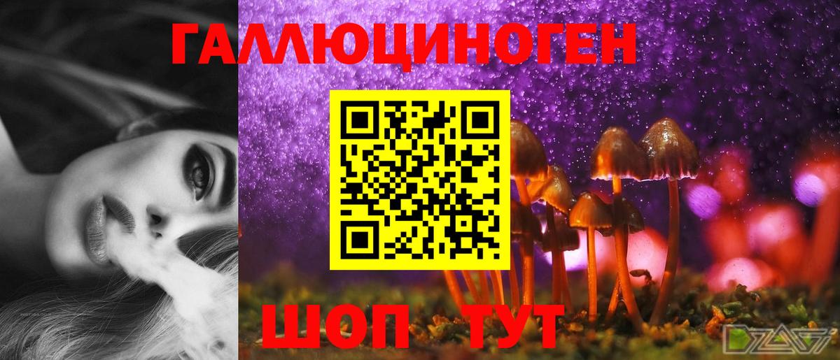 Арзамас  Псилоцибиновые грибы Psilocybine cubensis  Вход с VPN 